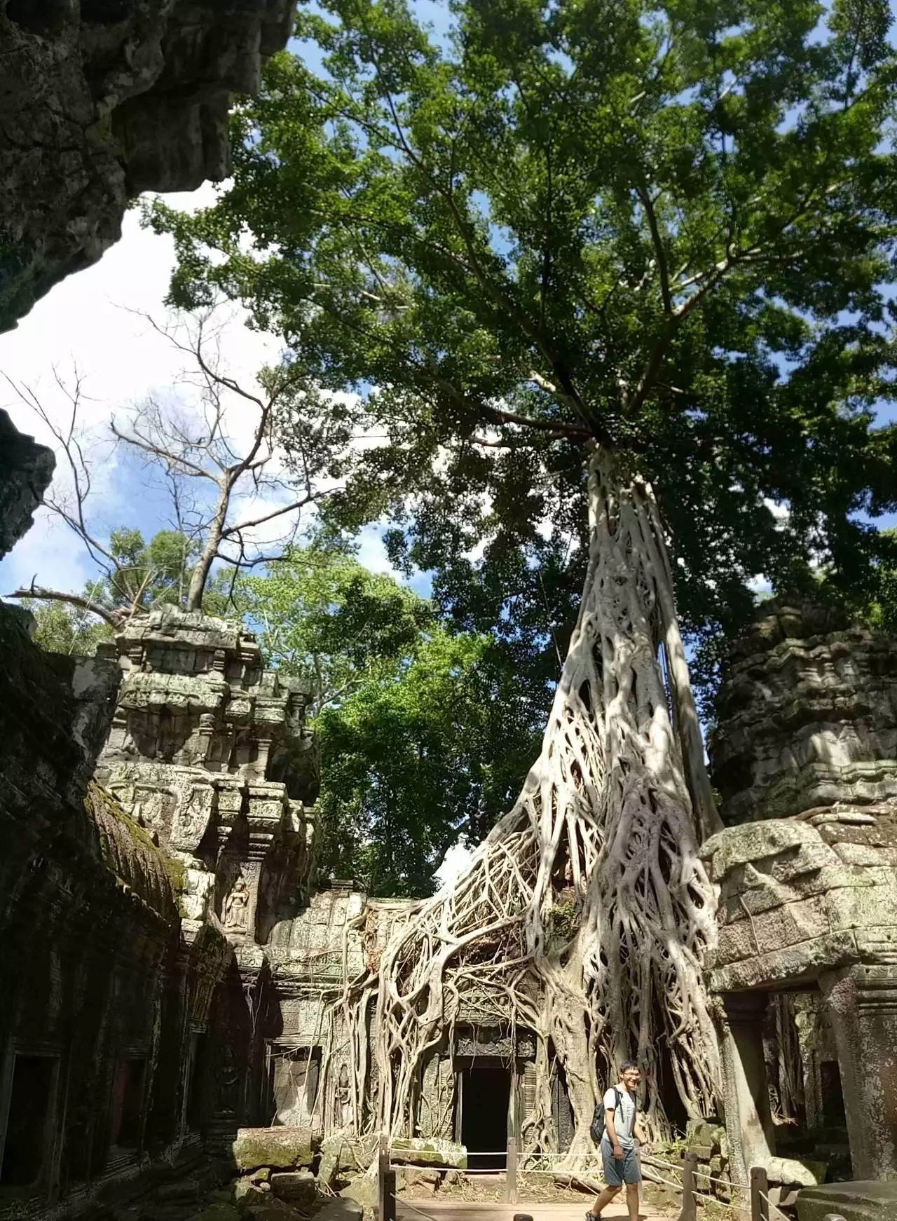 旅游攻略app蚂蜂窝自由行手机版_窝窝旅游哪款好_自驾窝窝旅行软件