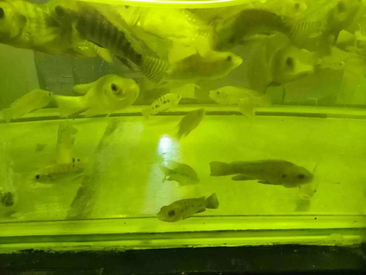 窝窝旅游哪款好_自驾窝窝旅行软件_旅游攻略app蚂蜂窝自由行手机版