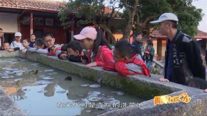 莆田凤凰山公园_莆田凤凰山风景区在哪里_莆田凤凰山旅游攻略