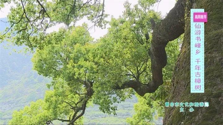 莆田凤凰山公园_莆田凤凰山风景区在哪里_莆田凤凰山旅游攻略