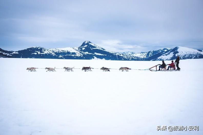 阿拉斯加旅游景点_阿拉斯加旅游攻略_阿拉斯加景点