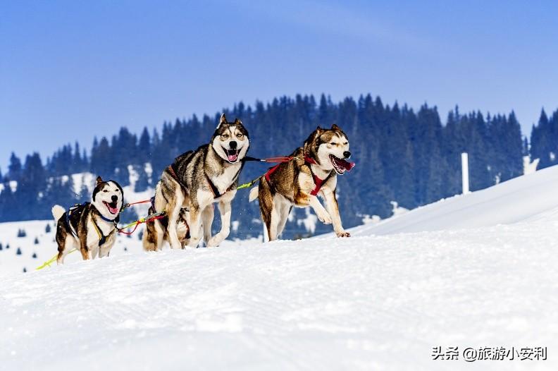 阿拉斯加旅游攻略_阿拉斯加旅游景点_阿拉斯加景点