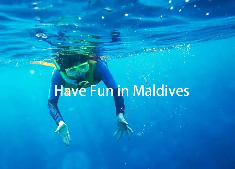 马尔代夫伊露岛旅游攻略-马尔代夫伊露薇莉岛