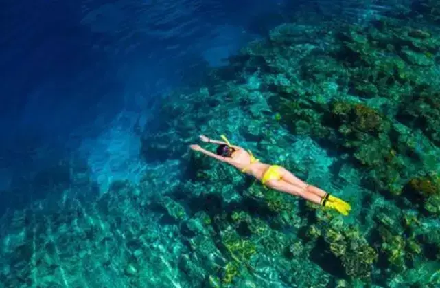 马尔代夫伊露岛旅游攻略-马尔代夫伊露薇莉岛(图13) 马尔代夫lv岛_马尔代夫伊露薇莉岛_马尔代夫伊露岛旅游攻略