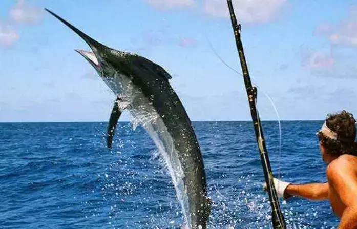 马尔代夫伊露岛旅游攻略-马尔代夫伊露薇莉岛(图22) 马尔代夫伊露薇莉岛_马尔代夫伊露岛旅游攻略_马尔代夫lv岛