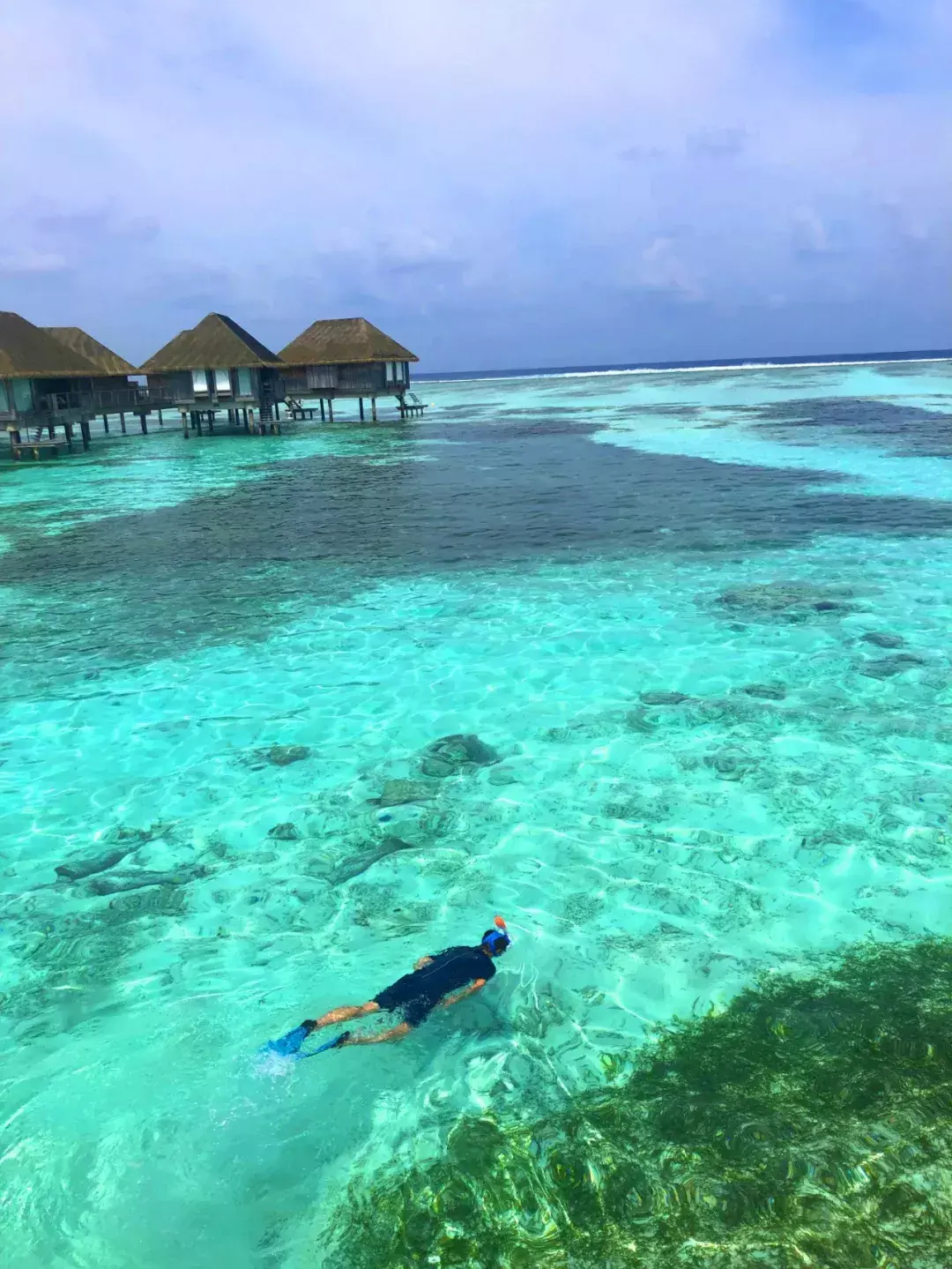 马尔代夫伊露岛旅游攻略-马尔代夫伊露薇莉岛(图10) 马尔代夫lv岛_马尔代夫伊露岛旅游攻略_马尔代夫伊露薇莉岛