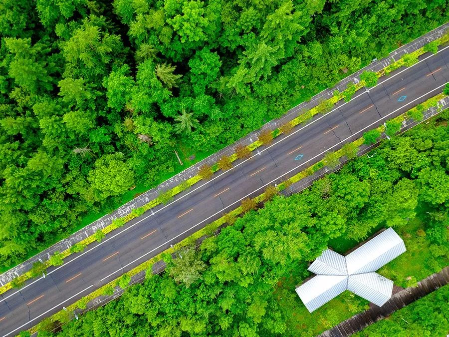 长白山旅游攻略夏季-夏季长白山攻略旅游攻略(图10) 长白山旅游攻略夏季_夏季长白山攻略旅游攻略_暑期长白山旅游攻略