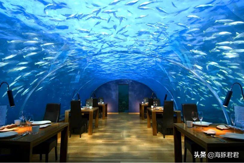 马尔代夫lv岛_马尔代夫lux岛_马尔代夫伊露岛旅游攻略