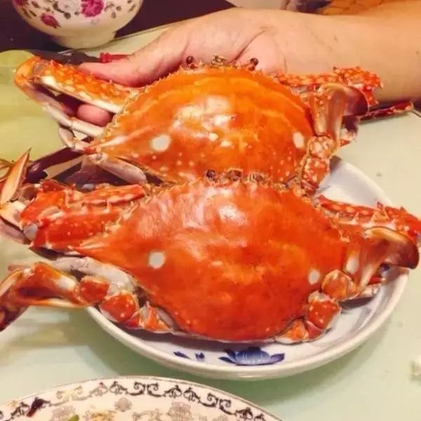 大连蓬莱船票时刻表_大连到蓬莱旅游攻略_蓬莱大连