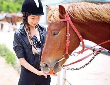 崇明岛旅游攻略住宿-住崇明民宿(图7) 上海崇明住宿_住崇明民宿_崇明岛旅游攻略住宿