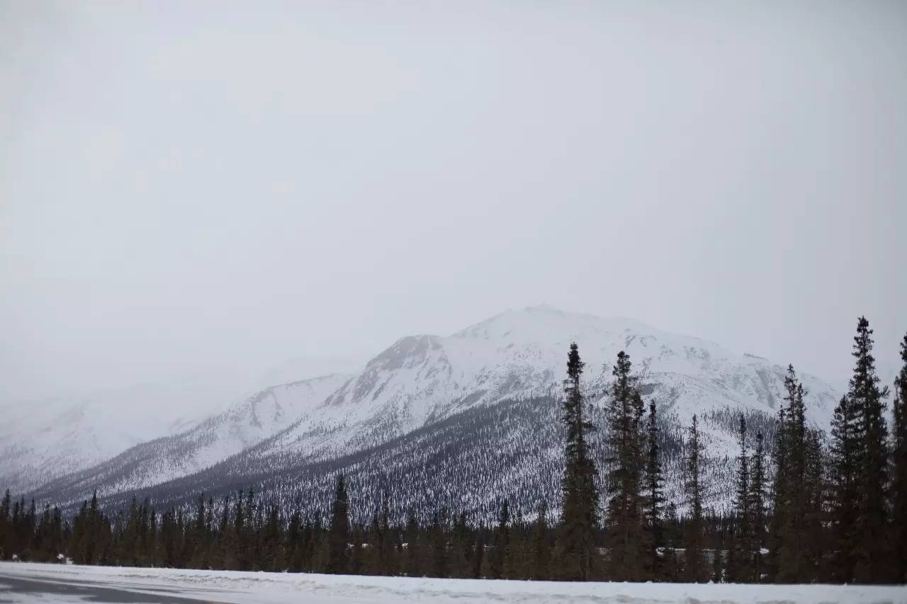 阿拉斯加旅游攻略-阿拉斯加旅游攻略十天(图11) 阿拉斯加旅游攻略十天_阿拉斯加旅游攻略_阿拉斯加旅行攻略