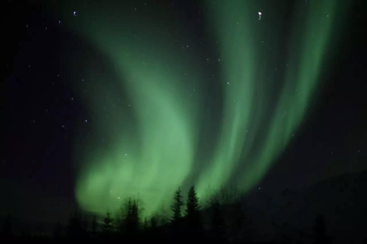 阿拉斯加旅游攻略-阿拉斯加旅游攻略十天(图12) 阿拉斯加旅行攻略_阿拉斯加旅游攻略_阿拉斯加旅游攻略十天