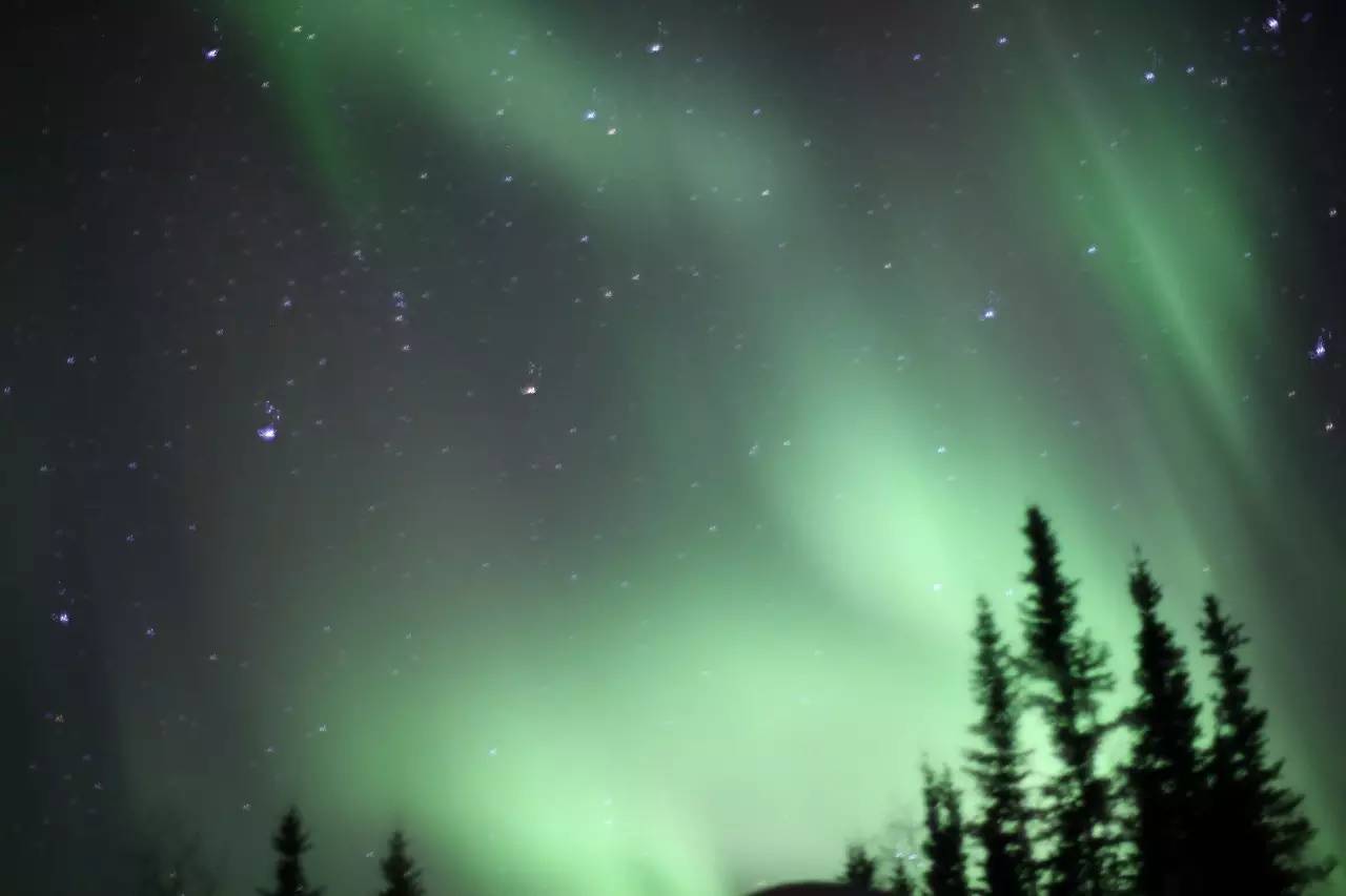 阿拉斯加旅游攻略-阿拉斯加旅游攻略十天(图13) 阿拉斯加旅行攻略_阿拉斯加旅游攻略十天_阿拉斯加旅游攻略