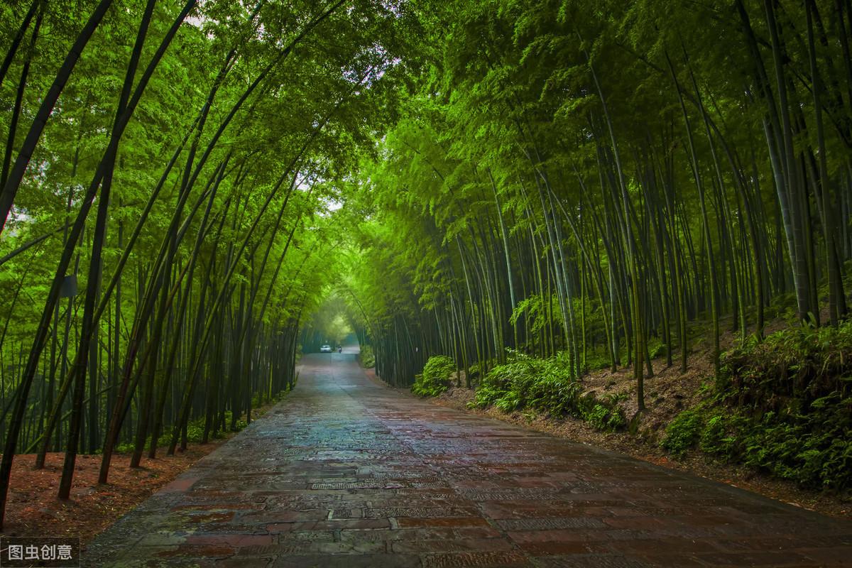 竹海旅游攻略-竹海自驾游攻略(图5) 竹海一日游_竹海自驾游攻略_竹海旅游攻略