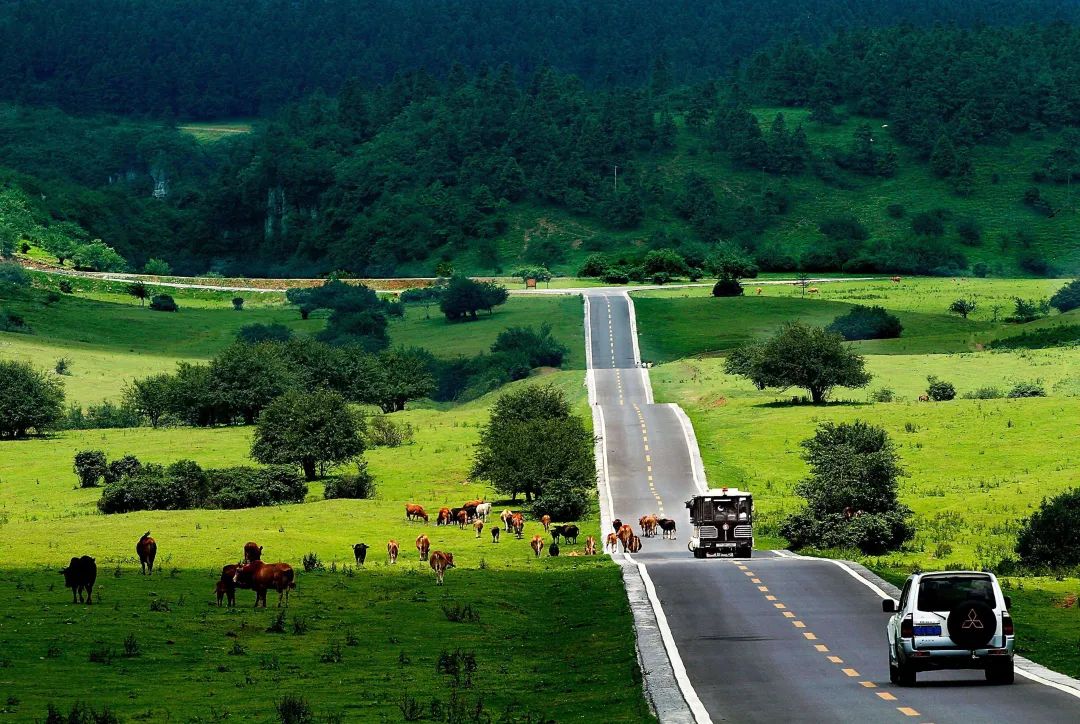 重庆到龙缸旅游攻略-攻略重庆旅游到龙缸山怎么走(图9) 攻略重庆旅游到龙缸湖怎么走_攻略重庆旅游到龙缸山怎么走_重庆到龙缸旅游攻略