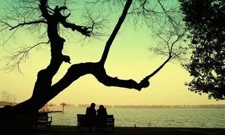 武昌旅游攻略-武昌攻略旅游景点推荐(图17) 武昌旅游攻略_武昌旅游攻略必去景点_武昌攻略旅游景点推荐