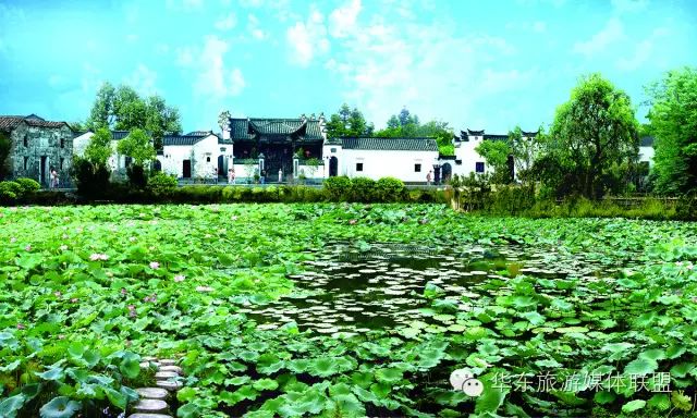 宁波到三清旅游攻略_宁波三清山自驾游_宁波攻略三清旅游到哪里