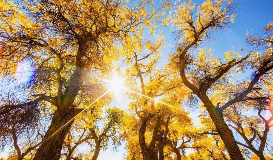 十一莫高窟旅游攻略_莫高窟旅游路线_莫高窟攻略