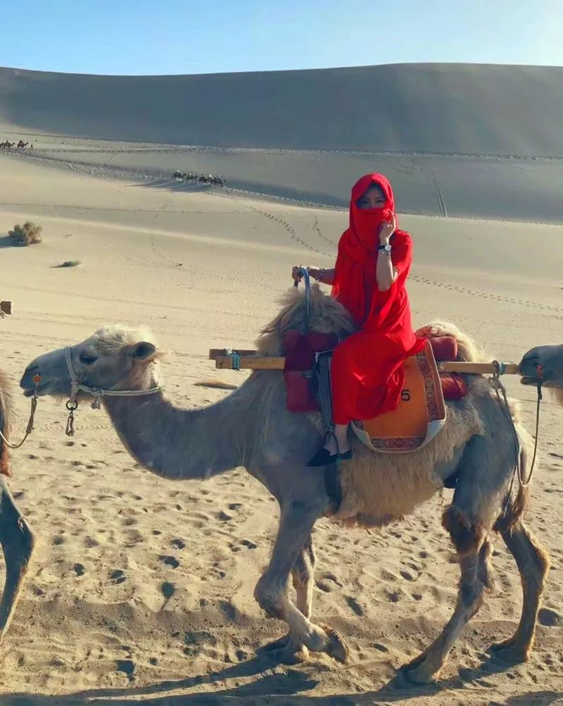 莫高窟旅游路线_十一莫高窟旅游攻略_莫高窟攻略