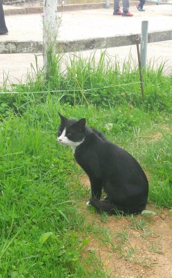 亚庇旅游景点排名_亚庇旅游攻略_亚庇有什么好玩的