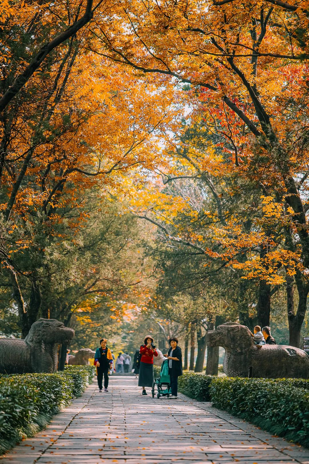 南京十一旅游攻略_攻略南京旅游路线_“南京旅游攻略”