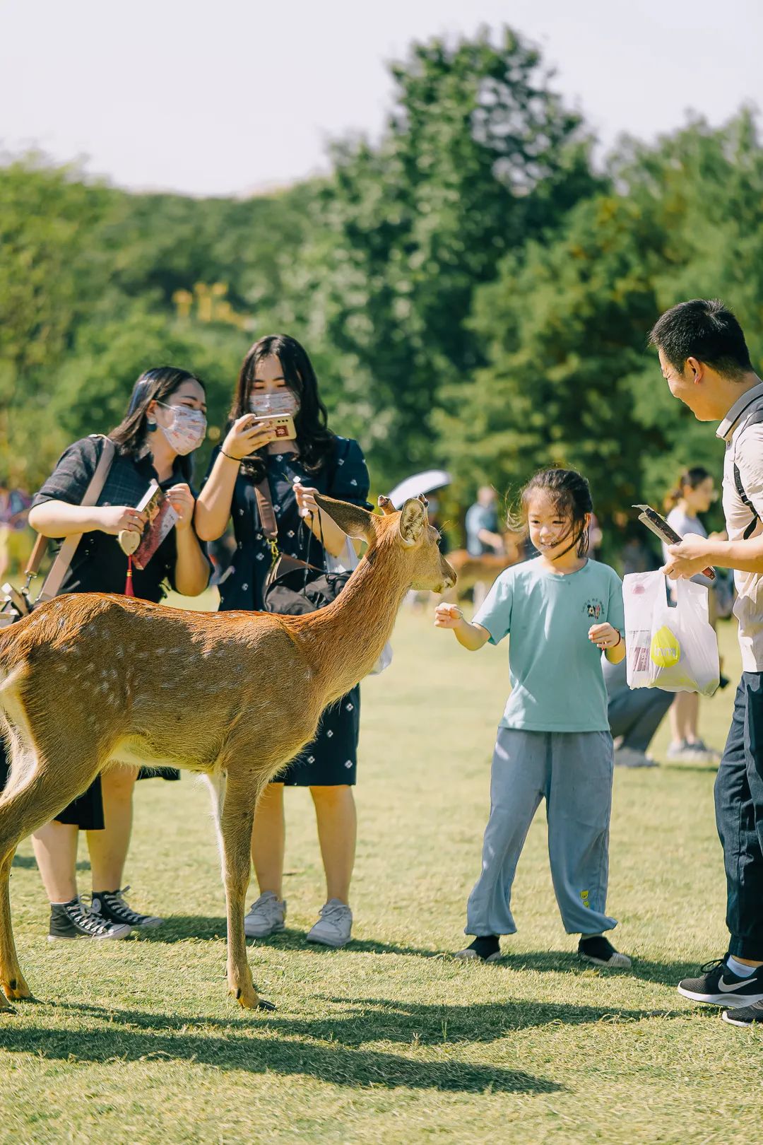 “南京旅游攻略”_攻略南京旅游路线_南京十一旅游攻略