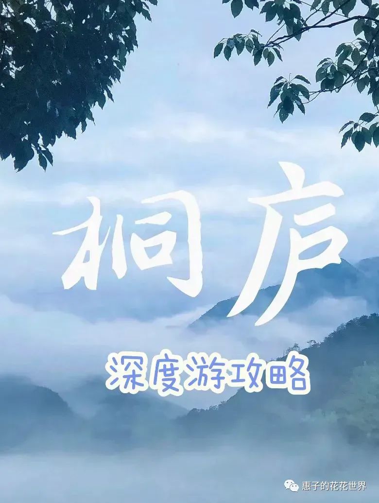 杭州桐庐旅游攻略_杭州桐庐旅游景点_杭州桐庐旅游景点有哪些景点