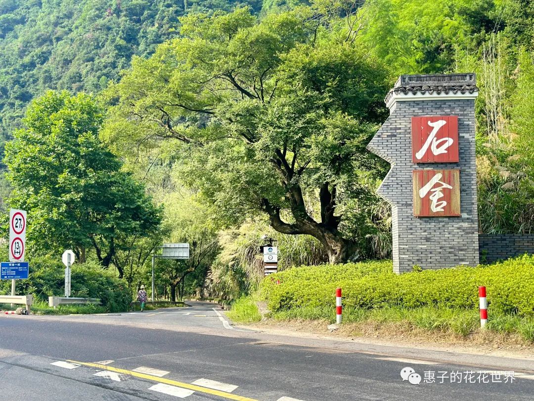 杭州桐庐旅游景点有哪些景点_杭州桐庐旅游景点_杭州桐庐旅游攻略