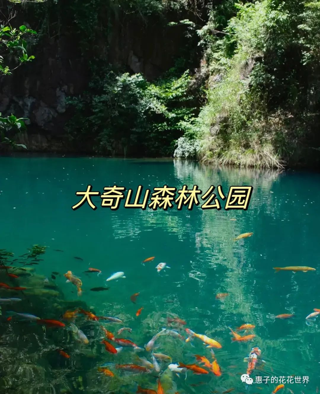 杭州桐庐旅游景点_杭州桐庐旅游景点有哪些景点_杭州桐庐旅游攻略