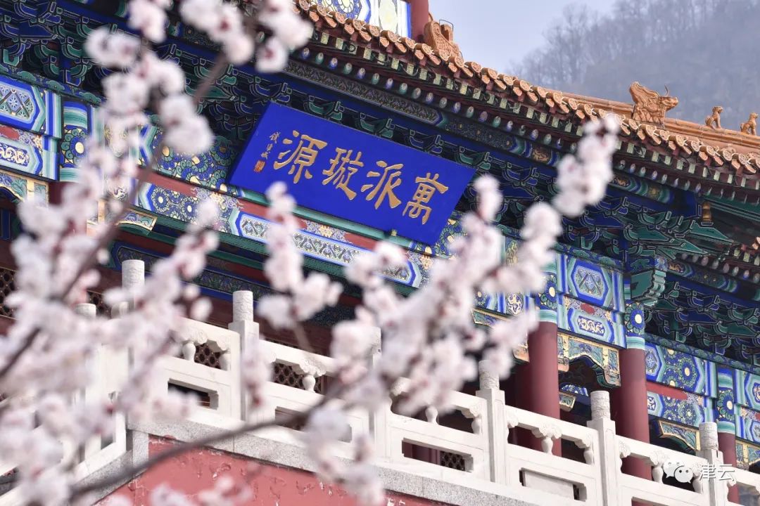 天津绿博园的风景和介绍_天津绿博园门票_天津绿博园旅游攻略