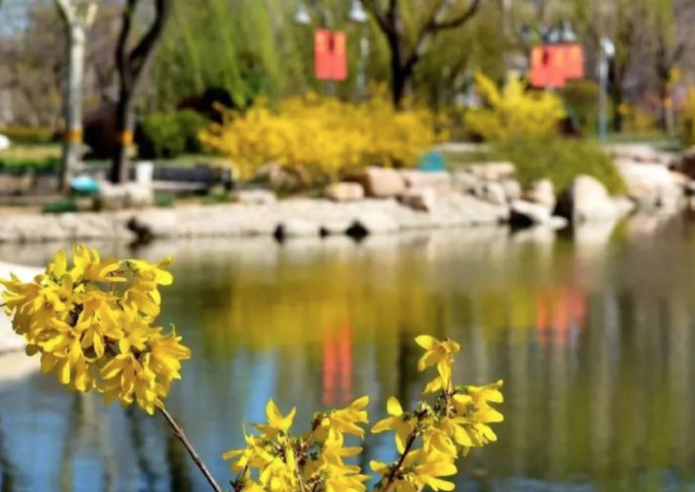 天津绿博园的风景和介绍_天津绿博园旅游攻略_天津绿博园门票