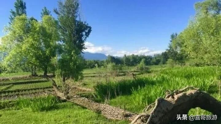 涞源旅游攻略-涞源旅游攻略景点必去(图5) 涞源旅游攻略_涞源旅游攻略景点必去_涞源旅游攻略自驾游