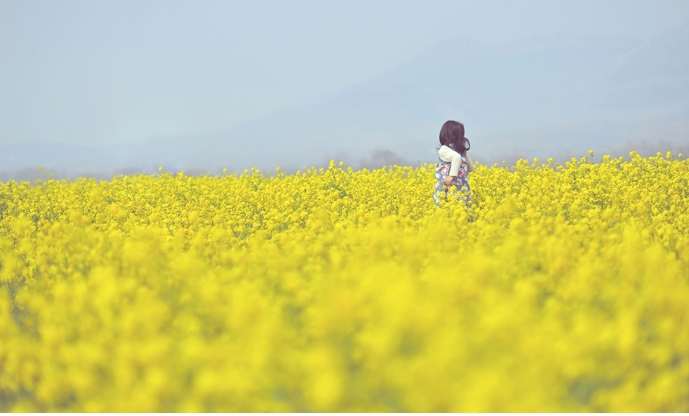 济南到台儿庄古城旅游攻略-济南到台儿庄古城游玩攻略
