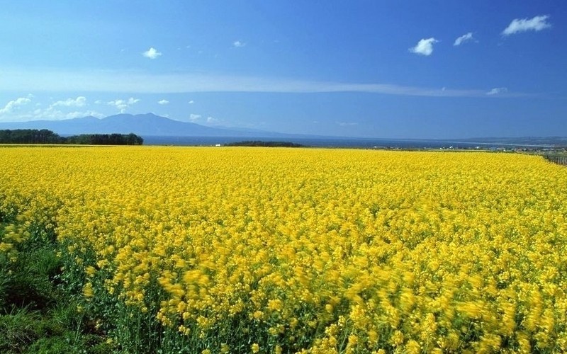 济南去台儿庄古城怎么坐车_济南到台儿庄古城游玩攻略_济南到台儿庄古城旅游攻略