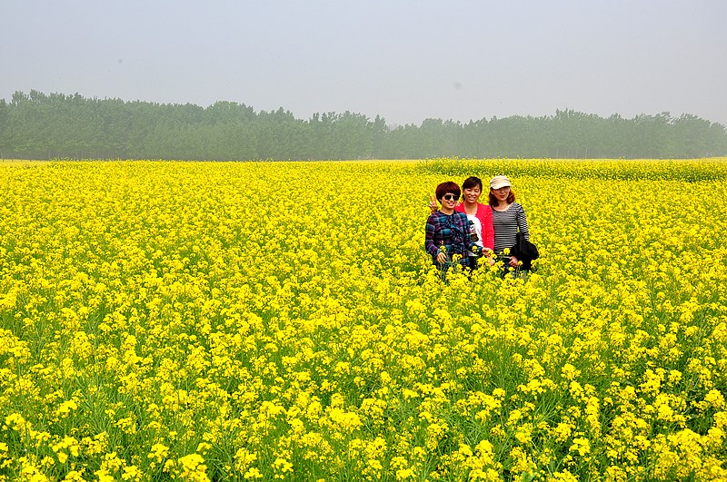 济南去台儿庄古城怎么坐车_济南到台儿庄古城旅游攻略_济南到台儿庄古城游玩攻略