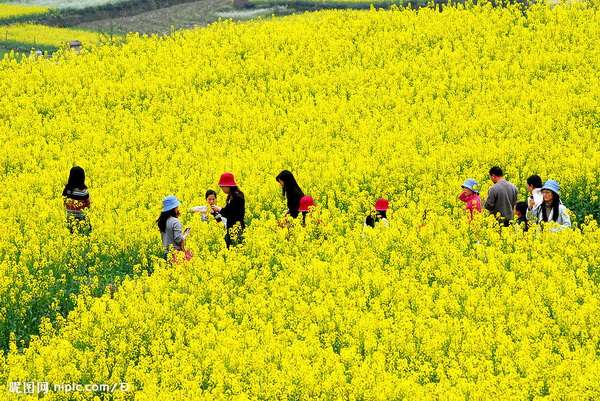 济南到台儿庄古城游玩攻略_济南去台儿庄古城怎么坐车_济南到台儿庄古城旅游攻略
