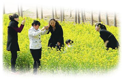 济南去台儿庄古城怎么坐车_济南到台儿庄古城游玩攻略_济南到台儿庄古城旅游攻略