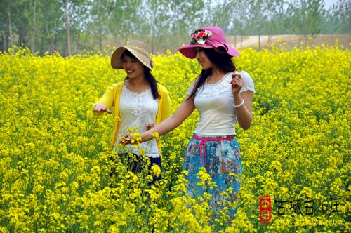 济南去台儿庄古城怎么坐车_济南到台儿庄古城旅游攻略_济南到台儿庄古城游玩攻略