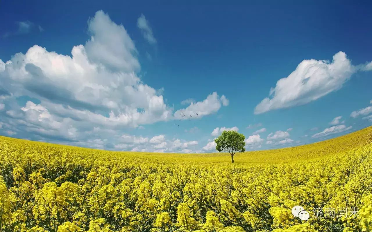 济南到台儿庄古城旅游攻略_济南到台儿庄古城游玩攻略_济南去台儿庄古城怎么坐车