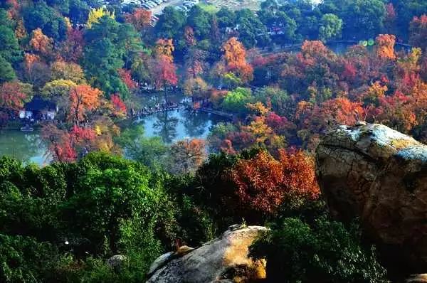 苏州西山东山_苏州东山西山景区游玩攻略_苏州东山西山旅游攻略