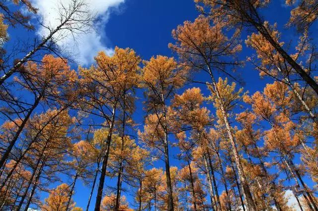 俄罗斯边境线_俄罗斯边界旅游攻略_边境俄罗斯