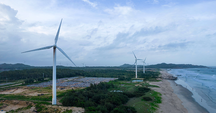 红海湾旅游攻略_红海湾游玩攻略_红海湾旅游区攻略