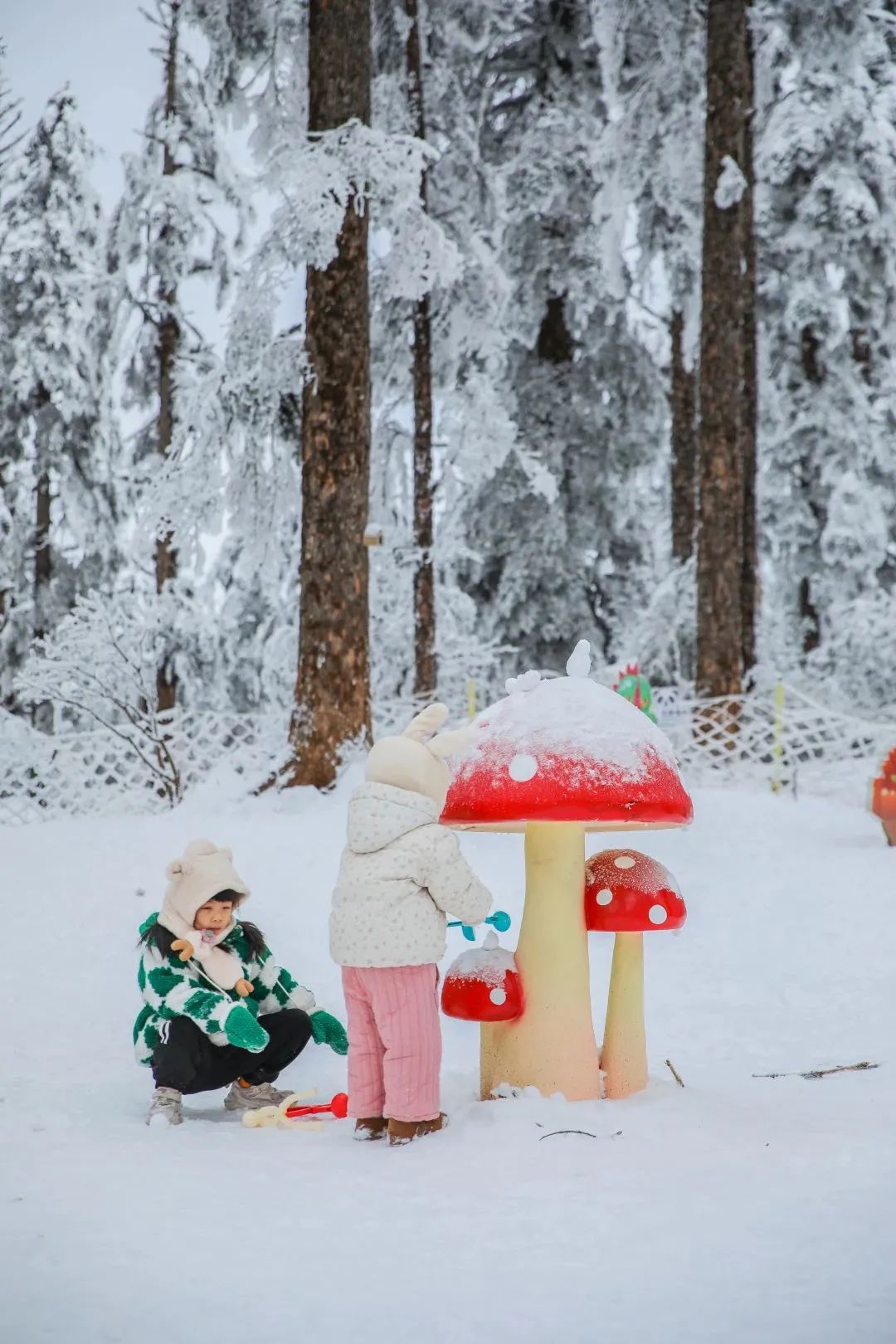 瓦屋山国家公园介绍_瓦屋山国家森林公园旅游攻略_瓦屋山森林公园视频