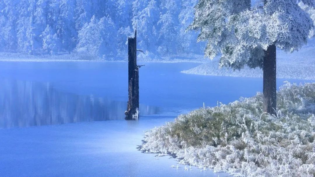 瓦屋山国家森林公园旅游攻略_瓦屋山国家公园介绍_瓦屋山森林公园视频