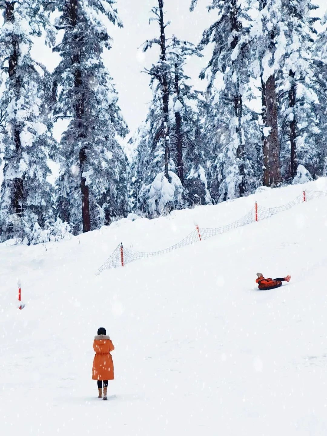 瓦屋山国家森林公园旅游攻略_瓦屋山国家公园介绍_瓦屋山森林公园视频