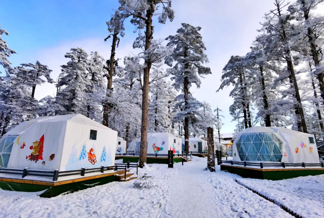 瓦屋山国家公园介绍_瓦屋山国家森林公园旅游攻略_瓦屋山森林公园视频