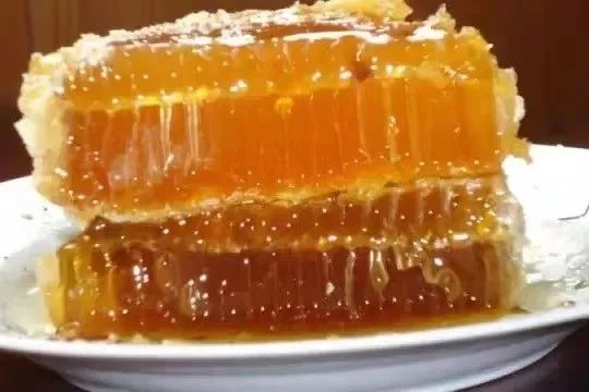 瓦屋山国家公园介绍_瓦屋山森林公园视频_瓦屋山国家森林公园旅游攻略