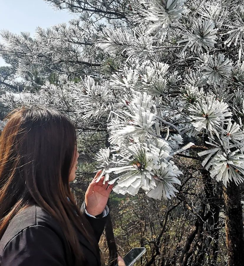 三清山有火车站时刻表_三清山火车票_乘火车游三清山旅游攻略