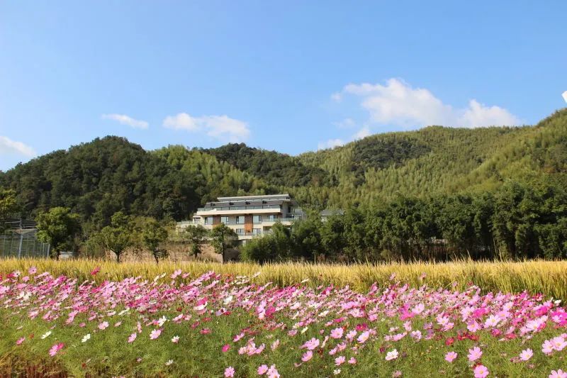 德清莫干山旅游攻略_德清莫干山门票价格_德清莫干山风景区攻略