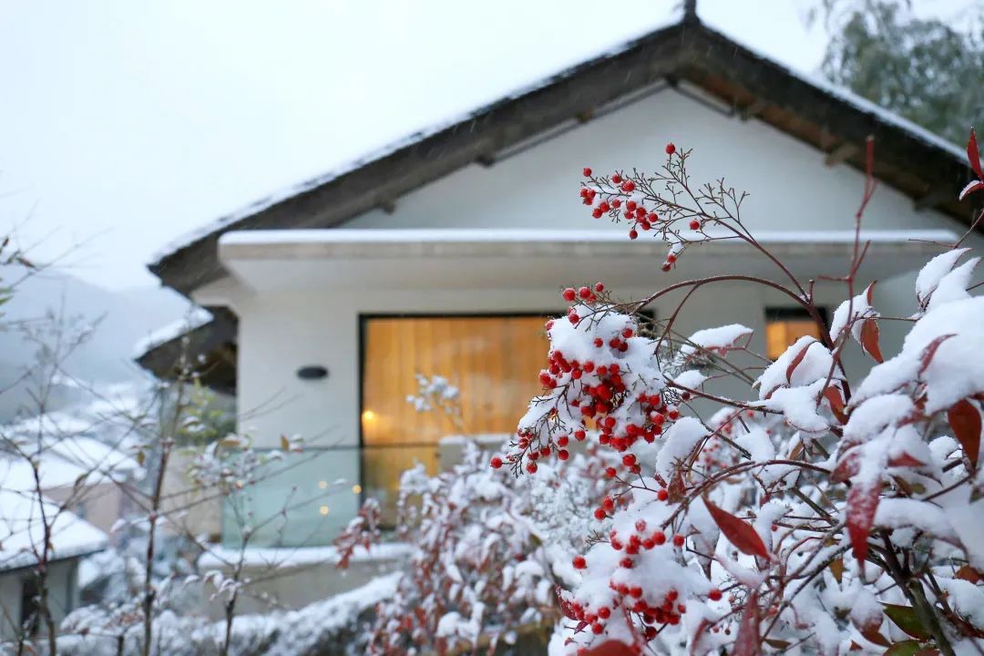 德清莫干山门票价格_德清莫干山风景区攻略_德清莫干山旅游攻略